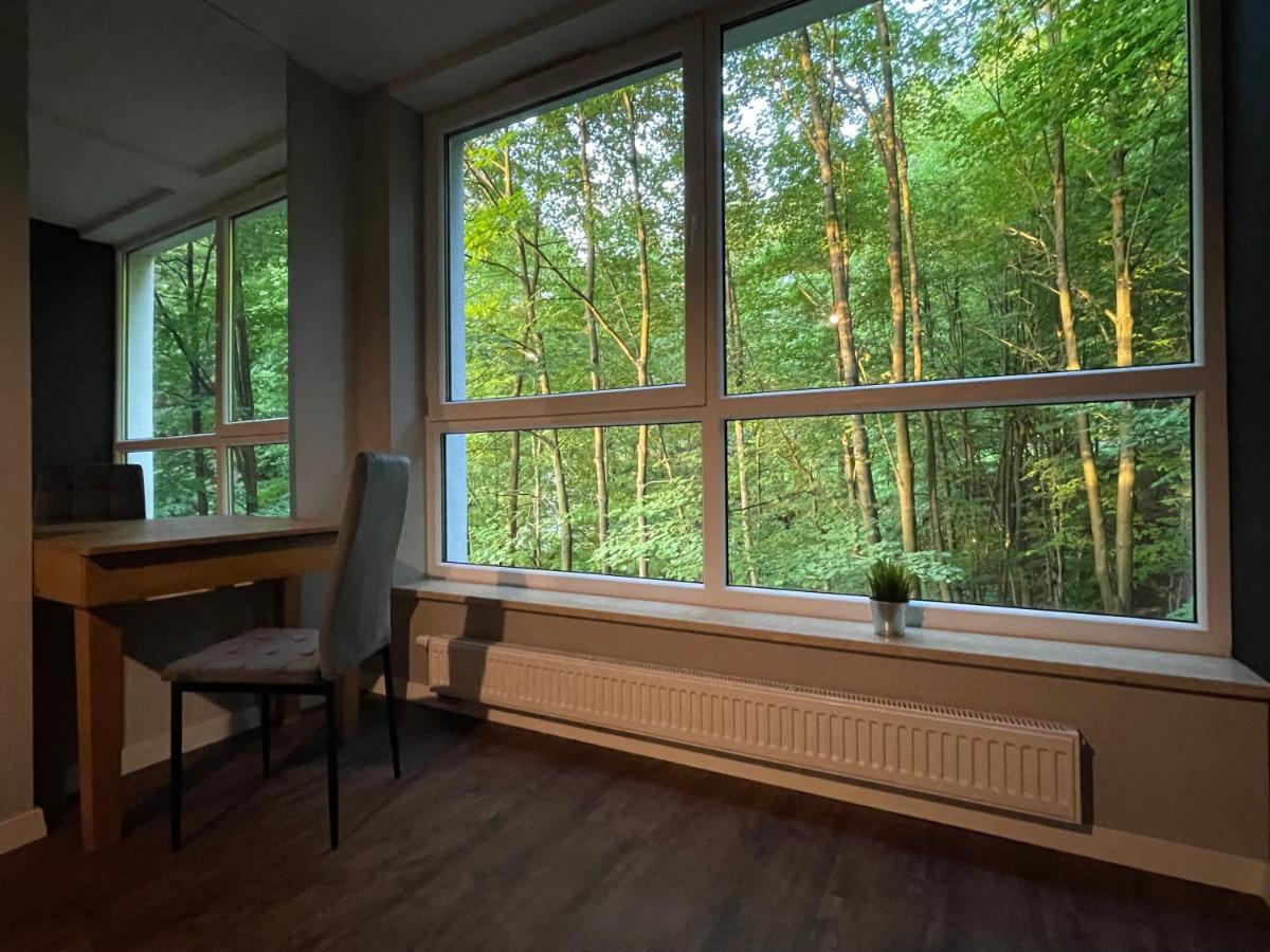 Apartament Kurort Kozubnik - Taras Nad Potokiem Porąbka Buitenkant foto