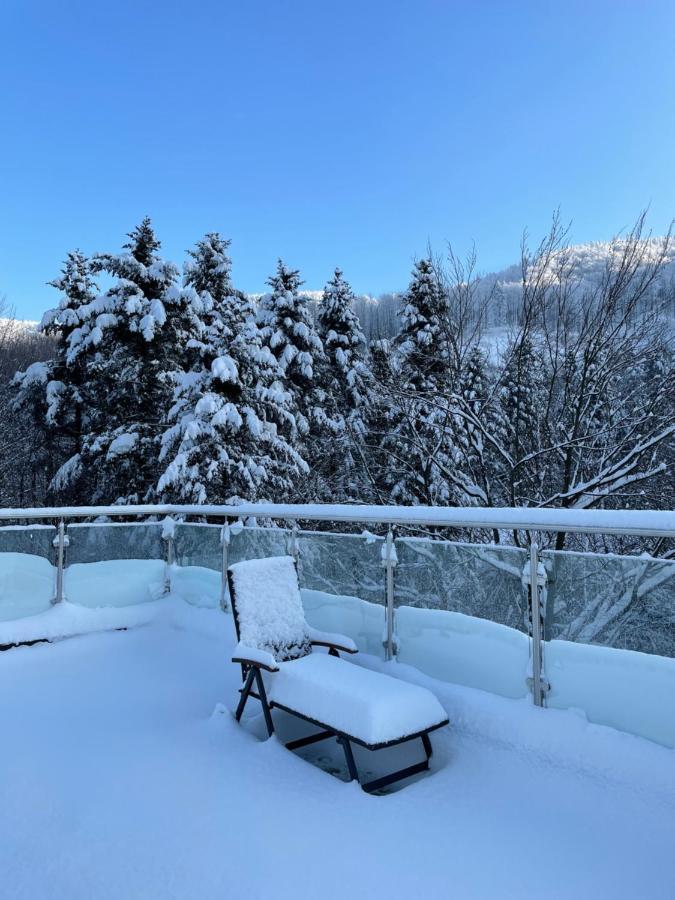 Apartament Kurort Kozubnik - Taras Nad Potokiem Porąbka Buitenkant foto