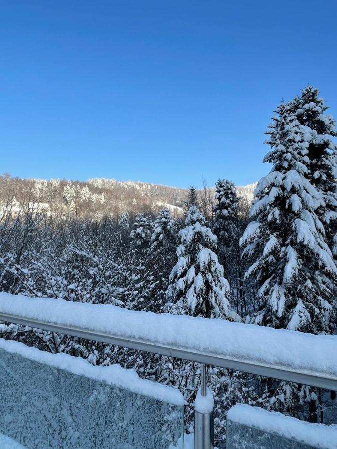Apartament Kurort Kozubnik - Taras Nad Potokiem Porąbka Buitenkant foto