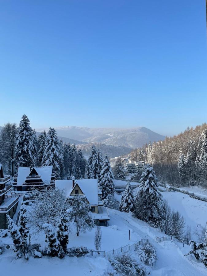 Apartament Kurort Kozubnik - Taras Nad Potokiem Porąbka Buitenkant foto