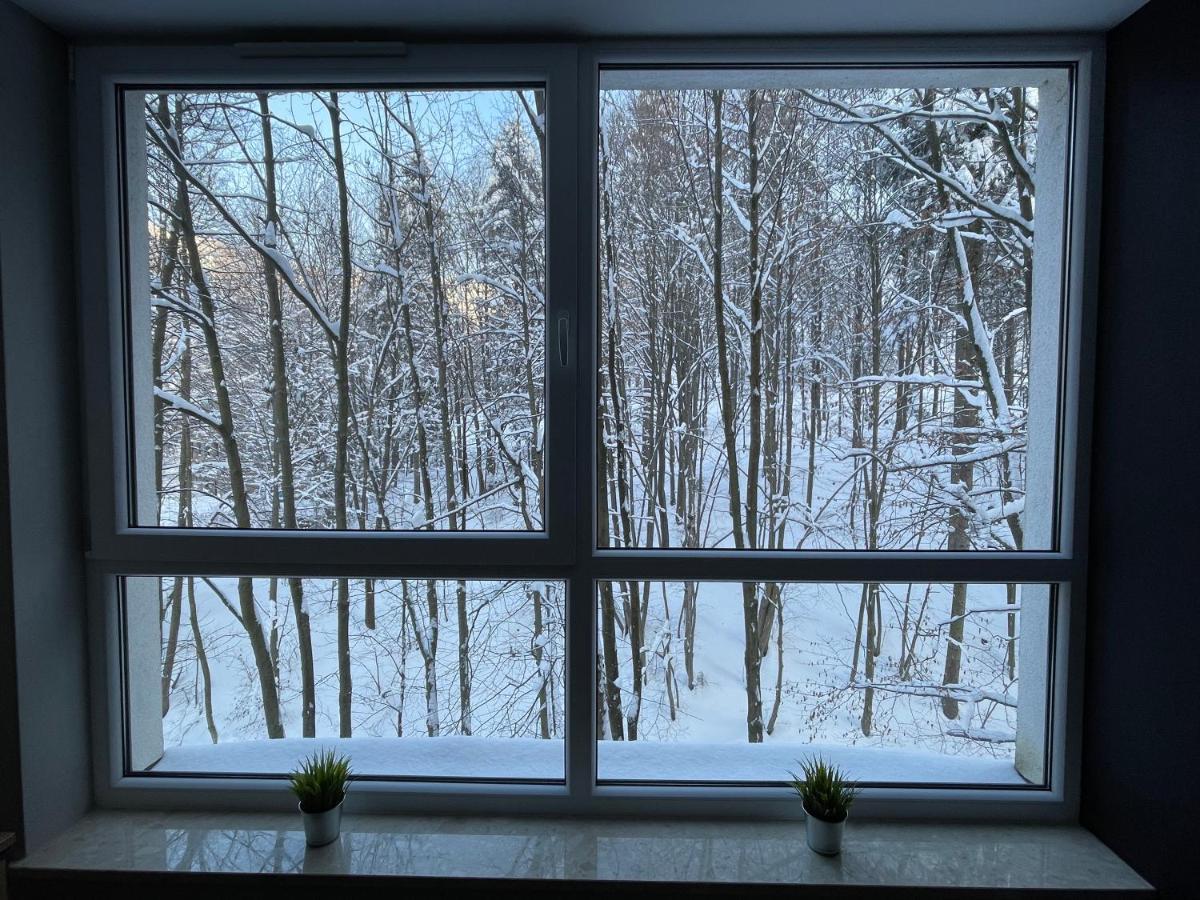 Apartament Kurort Kozubnik - Taras Nad Potokiem Porąbka Buitenkant foto