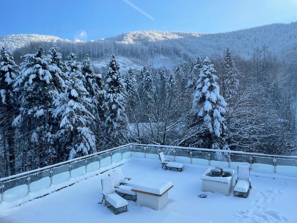Apartament Kurort Kozubnik - Taras Nad Potokiem Porąbka Buitenkant foto