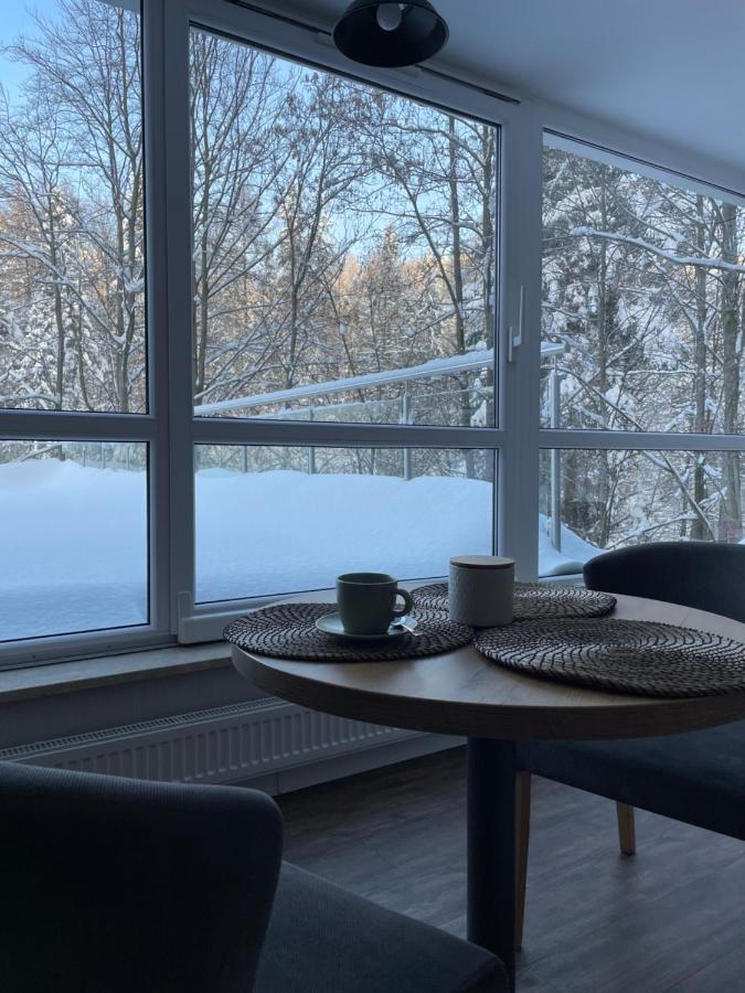 Apartament Kurort Kozubnik - Taras Nad Potokiem Porąbka Buitenkant foto